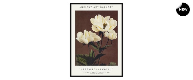 Haerdaceous Paeony διακοσμητικός πίνακας